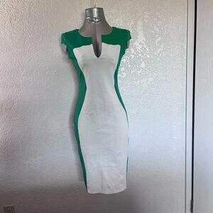 Elegant Green and White Women's Dress